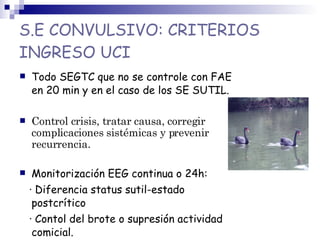S.E CONVULSIVO: CRITERIOS
INGRESO UCI
 Todo SEGTC que no se controle con FAE
en 20 min y en el caso de los SE SUTIL.
 Control crisis, tratar causa, corregir
complicaciones sistémicas y prevenir
recurrencia.
 Monitorización EEG continua o 24h:
· Diferencia status sutil-estado
postcrítico
· Contol del brote o supresión actividad
comicial.
 
