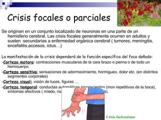 Crisis focales o parciales
Se originan en un conjunto localizado de neuronas en una parte de un
hemisferio cerebral. Las crisis focales generalmente ocurren en adultos y
suelen secundarias a enfermedad orgánica cerebral ( tumores, meningitis,
encefalitis,accesos, ictus…)
La manifestación de la crisis dependerá de la función específica del foco dañado:
-Corteza motora: contracciones musculares de la cara brazo o pierna o de todo un
hemicuerpo.
-Corteza sensitiva
Corteza sensitiva: sensaciones de adormecimiento, hormigueo, dolor etc. (en distintos
segmentos corporales)
-Corteza visual: visión de luces, figuras …
-Corteza temporal: conductas automáticas inconscientes (mov repetitivos de la boca),
síntomas afectivos ( miedo, risa), síntomas olfatorios, etc.
Crisis Jacksoniana
 