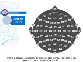 Sistema
10-10
Irriarte J. electroencefalografía en el adulto: atlas bilingüe es pañol. Inglés
basado en casos clínicos. Elsevier; 2012
 