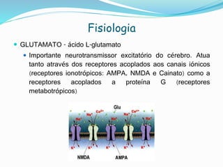Fisiologia
 GLUTAMATO - ácido L-glutamato
 Importante neurotransmissor excitatório do cérebro. Atua
tanto através dos receptores acoplados aos canais iónicos
(receptores ionotrópicos: AMPA, NMDA e Cainato) como a
receptores acoplados a proteína G (receptores
metabotrópicos)
 