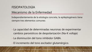 Mecanismo de la Enfermedad
Independientemente de la etiología concreta, la epileptogénesis tiene
siempre tres elementos comunes:
- La capacidad de determinadas neuronas de experimentar
cambios paroxísticos de despolarización (Na-K voltaje)
- La disminución del tono inhibidor GABA.
- El incremento del tono excitador glutamérgico.
Juan M.ª Mercadé , Guías diagnósticas y terapéuticas de la Sociedad Española de Neurología 2012. Guía oficial de práctica
clínica en epilepsia 2012, Sociedad Española de Neurología
FISIOPATOLOGIA
 