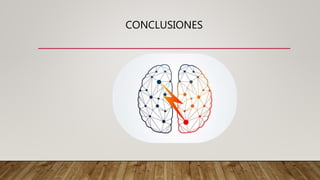CONCLUSIONES
 