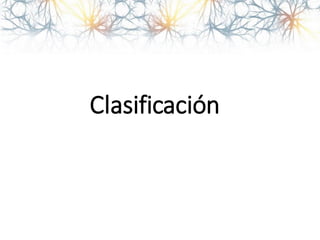 Clasificación
 