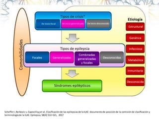 Schefferi, Berkovic s, Capovillag et al. Clasificaciónde las epilepsiasde laILAE: documentode posiciónde la comisiónde clasificación y
terminologíade la ILAE. Epilepsia, 58(4):512–521, 2017
 