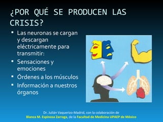 ¿POR QUÉ SE PRODUCEN LAS CRISIS? Las neuronas se cargan y descargan eléctricamente para transmitir: Sensaciones y emociones Órdenes a los músculos Información a nuestros órganos  Dr. Julián Vaquerizo-Madrid, con la colaboración de Blanca M. Espinosa Zarraga , de la  Facultad de Medicina UPAEP de México 