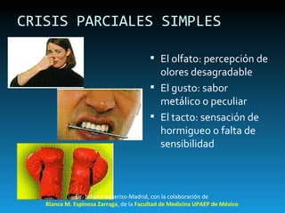 CRISIS PARCIALES SIMPLES El olfato: percepción de olores desagradable El gusto: sabor metálico o peculiar El tacto: sensación de hormigueo o falta de sensibilidad Dr. Julián Vaquerizo-Madrid, con la colaboración de Blanca M. Espinosa Zarraga , de la  Facultad de Medicina UPAEP de México 