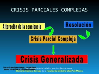 CRISIS PARCIALES COMPLEJAS Alteración de la conciencia Crisis Parcial Compleja Resolución Crisis Generalizada Las crisis parciales simples y las complejas pueden convertirse en crisis generalizadas Dr. Julián Vaquerizo-Madrid, con la colaboración de Blanca M. Espinosa Zarraga , de la  Facultad de Medicina UPAEP de México 