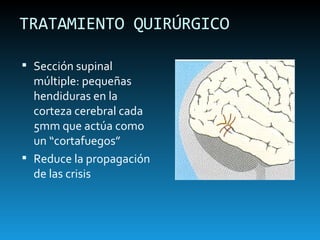 TRATAMIENTO QUIRÚRGICO Sección supinal múltiple: pequeñas hendiduras en la corteza cerebral cada 5mm que actúa como un “cortafuegos” Reduce la propagación de las crisis 