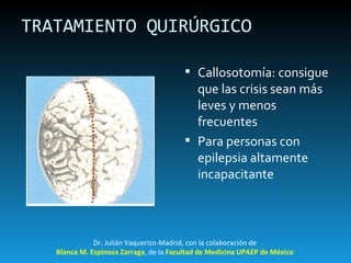 TRATAMIENTO QUIRÚRGICO Callosotomía: consigue que las crisis sean más leves y menos frecuentes Para personas con epilepsia altamente incapacitante Dr. Julián Vaquerizo-Madrid, con la colaboración de Blanca M. Espinosa Zarraga , de la  Facultad de Medicina UPAEP de México 
