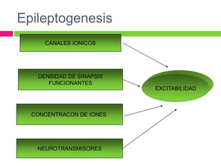 Epileptogenesis
     CANALES IONICOS




   DENSIDAD DE SINAPSIS
      FUNCIONANTES
                          EXCITABILIDAD



  CONCENTRACON DE IONES




   NEUROTRANSMISORES
 
