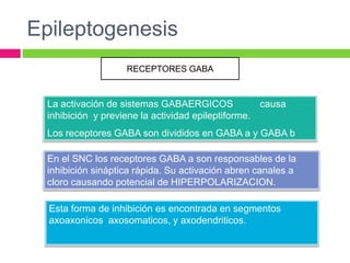 Epileptogenesis
                    RECEPTORES GABA



  La activación de sistemas GABAERGICOS             causa
  inhibición y previene la actividad epileptiforme.
  Los receptores GABA son divididos en GABA a y GABA b

  En el SNC los receptores GABA a son responsables de la
  inhibición sináptica rápida. Su activación abren canales a
  cloro causando potencial de HIPERPOLARIZACION.

  Esta forma de inhibición es encontrada en segmentos
  axoaxonicos axosomaticos, y axodendriticos.
 