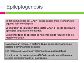 Epileptogenesis

El daño a funciones del GABA , puede causar crisis y ser parte de
algunos tipos de epilepsia.
La alteración de la función del receptor GABA a , puede contribuir a
epilepsias adquiridas o heredadas.
En algunos tipos de epilepsia se han encontrado reducción de los
receptores GABA

GABA b es un receptor a proteína G que puede abrir canales de
potasio o cerrar canales de calcio
Los receptores GABA b son presinapticos o postsinapticos
La activación de los receptores GABA b , puede tener diferentes
efectos dependiendo de su localización.
 