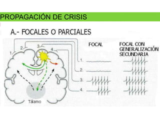 PROPAGACIÓN DE CRISIS
 