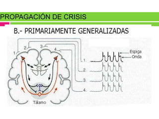 PROPAGACIÓN DE CRISIS
 