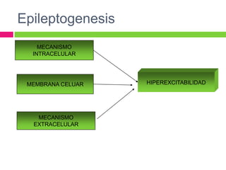 Epileptogenesis
    MECANISMO
  INTRACELULAR




 MEMBRANA CELUAR   HIPEREXCITABILIDAD




   MECANISMO
  EXTRACELULAR
 