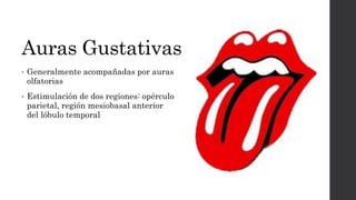 Auras Gustativas
• Generalmente acompañadas por auras
olfatorias
• Estimulación de dos regiones: opérculo
parietal, región mesiobasal anterior
del lóbulo temporal
 