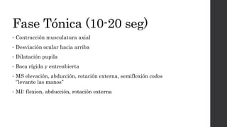 Fase Tónica (10-20 seg)
• Contracción musculatura axial
• Desviación ocular hacia arriba
• Dilatación pupila
• Boca rígida y entreabierta
• MS elevación, abducción, rotación externa, semiflexión codos
‘’levante las manos’’
• MI: flexion, abducción, rotación externa
 