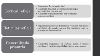 • Fragmento de epilepsia focal
• Mioclonia de accion (espasmo inducido por
movimientos voluntarios)
• Mioclonia refleja (inducido por estimulos
somatosensitivos
Cortical refleja
• Hiperexcitabilidad de formación reticular del tronco
encefálico de donde parten los impulsos que se
propagan a los músculos
Reticular refleja
• Mioclonias originadas en corteza pasan a tronco
encefaico = contracciones bilaterales y sincronicas
Generalizada
priamria
 
