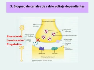  
       3.	
  Bloqueo	
  de	
  canales	
  de	
  calcio	
  voltaje	
  dependientes	
  
                                               	
  
	
                                             	
  
	
  

	
  

    Etosuximida
	
  Levetiracetam
    Pregabalina
	
  
 