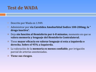 Test de WADA <ul><li>Descrito por Wada en 1.949. </li></ul><ul><li>Administrar por  vía Carotidea Amobarbital Sodico 100-2...
