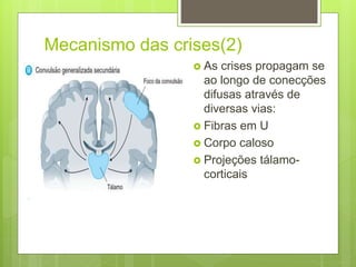 Mecanismo das crises(2)
 As crises propagam se
ao longo de conecções
difusas através de
diversas vias:
 Fibras em U
 Corpo caloso
 Projeções tálamo-
corticais
 