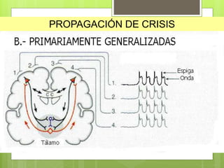 PROPAGACIÓN DE CRISIS
 