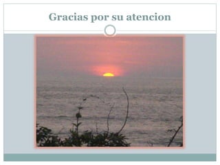 Gracias por su atencion
 