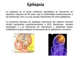 Epilepsia
La epilepsia es el tercer síndrome neurológico en frecuencia en
personas mayores de 60 años, tras la enfermedad cerebrovascular y
las demencias, son a su vez causas importantes de crisis epilépticas.
La presencia elevada de patología estructural del sistema nervioso
central (accidentes cerebrovasculares o ACV, demencias, tumores
cerebrales...) y la frecuencia de infecciones y trastornos tóxico-
metabólicos quizás explique la frecuencia de la epilepsia en ancianos.
 