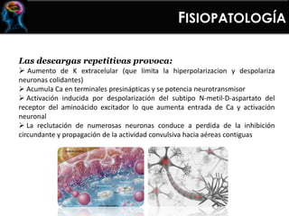 FISIOPATOLOGÍA
Las descargas repetitivas provoca:
 Aumento de K extracelular (que limita la hiperpolarizacion y despolariza
neuronas colidantes)
 Acumula Ca en terminales presinápticas y se potencia neurotransmisor
 Activación inducida por despolarización del subtipo N-metil-D-aspartato del
receptor del aminoácido excitador lo que aumenta entrada de Ca y activación
neuronal
 La reclutación de numerosas neuronas conduce a perdida de la inhibición
circundante y propagación de la actividad convulsiva hacia aéreas contiguas
 