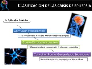 CLASIFICACION DE LAS CRISIS DE EPILEPSIA
 Epilepsias Parciales
Convulsión Parcial Simple
Si la conciencia se mantiene  manifestaciones simples
Convulsión parcial compleja
Si la conciencia se compromete  síntomas complejos
Convulsión Parcial Generalizada Secundaria
Si comienza parcial y se propaga de forma difusa
 