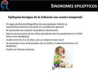 Epilepsia benigna de la infancia con centro temporal:
- El rasgo electroencefalográfico de esta epilepsia infantil es
extraordinariamente frecuente en la población general.
- Se transmite con carácter autosómico dominante.
- Sólo la tercera parte de los niños portadores de los paroxismos en el EEG
tiene crisis epilépticas.
- Incide entre los 3 y 13 años, con un máximo hacia los 9.
- Se presentan muy relacionadas con el sueño, el adormecimiento o el
despertar.
- Suelen ser focales motoras.
SINDROMES EPILEPTICOS
 