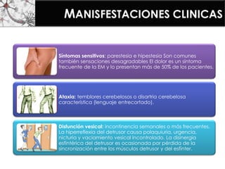 Síntomas sensitivos: parestesia e hipestesia Son comunes
también sensaciones desagradables El dolor es un síntoma
frecuente de la EM y lo presentan más de 50% de los pacientes.
Ataxia: temblores cerebelosos o disartria cerebelosa
característica (lenguaje entrecortado).
Disfunción vesical: incontinencia semanales o más frecuentes.
La hiperreflexia del detrusor causa polaquiuria, urgencia,
nicturia y vaciamiento vesical incontrolado. La disinergia
esfintérica del detrusor es ocasionada por pérdida de la
sincronización entre los músculos detrusor y del esfínter.
MANISFESTACIONES CLINICAS
 