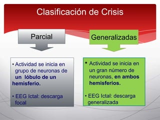 Clasificación de Crisis

        Parcial              Generalizadas


• Actividad se inicia en   • Actividad se inicia en
  grupo de neuronas de      un gran número de
  un lóbulo de un           neuronas, en ambos
hemisferio.                 hemisferios.

• EEG Ictal: descarga      • EEG Ictal: descarga
  focal                      generalizada
 
