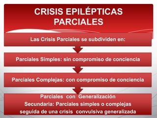 CRISIS EPILÉPTICAS
            PARCIALES
      Las Crisis Parciales se subdividen en:


 Parciales Simples: sin compromiso de conciencia


Parciales Complejas: con compromiso de conciencia


          Parciales con Generalización
    Secundaria: Parciales simples o complejas
  seguida de una crisis convulsiva generalizada
 