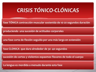 CRISIS TÓNICO-CLÓNICAS
fase TÓNICA contracción muscular sostenida de 10-20 segundos duración


produciendo una sucesión de actitudes corporales


una fase corta de flexión seguida por una más larga en extensión


fase CLONICA que dura alrededor de 30 -40 segundos

sucesión de cortos y violentos espasmos flexores de todo el cuerpo

La lengua es mordida a menudo durante esta fase
 
