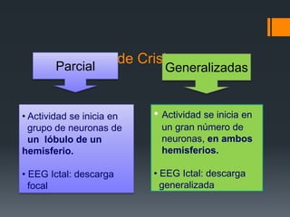 Clasificación de Crisis
     Parcial                 Generalizadas


• Actividad se inicia en   • Actividad se inicia en
  grupo de neuronas de      un gran número de
  un lóbulo de un           neuronas, en ambos
hemisferio.                 hemisferios.

• EEG Ictal: descarga      • EEG Ictal: descarga
  focal                      generalizada
 