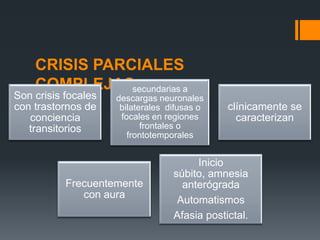 CRISIS PARCIALES
    COMPLEJASsecundarias a
Son crisis focales   descargas neuronales
con trastornos de     bilaterales difusas o    clínicamente se
   conciencia         focales en regiones        caracterizan
   transitorios             frontales o
                        frontotemporales


                                        Inicio
                                   súbito, amnesia
           Frecuentemente            anterógrada
              con aura
                                    Automatismos
                                   Afasia postictal.
 