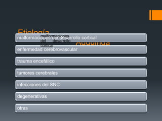 Etiología del desarrollo cortical
          malformaciones
malformaciones
          del    desarrollo
          cortical          Adquirida
enfermedad cerebrovascular

trauma encefálico

tumores cerebrales

infecciones del SNC

degenerativas

otras
 