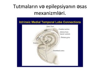 Tutmaların v epilepsiyanın sasə ə
mexanizml ri.ə
 