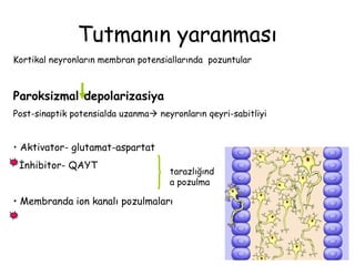 Tutmanın yaranması
Kortikal neyronların membran potensiallarında pozuntular
Paroksizmal depolarizasiya
Post-sinaptik potensialda uzanma neyronların qeyri-sabitliyi
• Aktivator- glutamat-aspartat
İnhibitor- QAYT
• Membranda ion kanalı pozulmaları
tarazlığınd
a pozulma
 