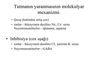 Tutmanın yaranmasının molekulyar
mexanizmi.
– Qıcıq (həttindən artiq cox)
– ionlar—hüceyrənin daxilinə Na+
, Ca++
axını
Neyrotransmitterlər—qlutamat, aspartat
 Inhibisiya (cox aşağı)
– ıonlar—hüceyrənin daxilinə CI-
, xaricinə K+
axını
– Neyrotransmitterlər—GABA
 
