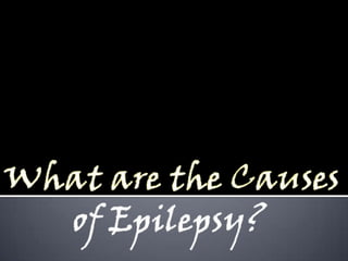 What are the Causesof Epilepsy?