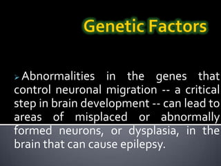 Genetic FactorsAbnormalities in the genes that control neuronal migration -- a critical step in brain development -- can lead to areas of misplaced or abnormally formed neurons, or dysplasia, in the brain that can cause epilepsy.OtherDisordersBrain tumors, alcoholism, and Alzheimer’s disease frequently lead to epilepsy because they alter the normal workings of the brain.