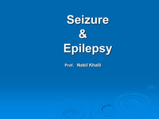 Seizure
&
Epilepsy
Prof. Nabil Khalil

 