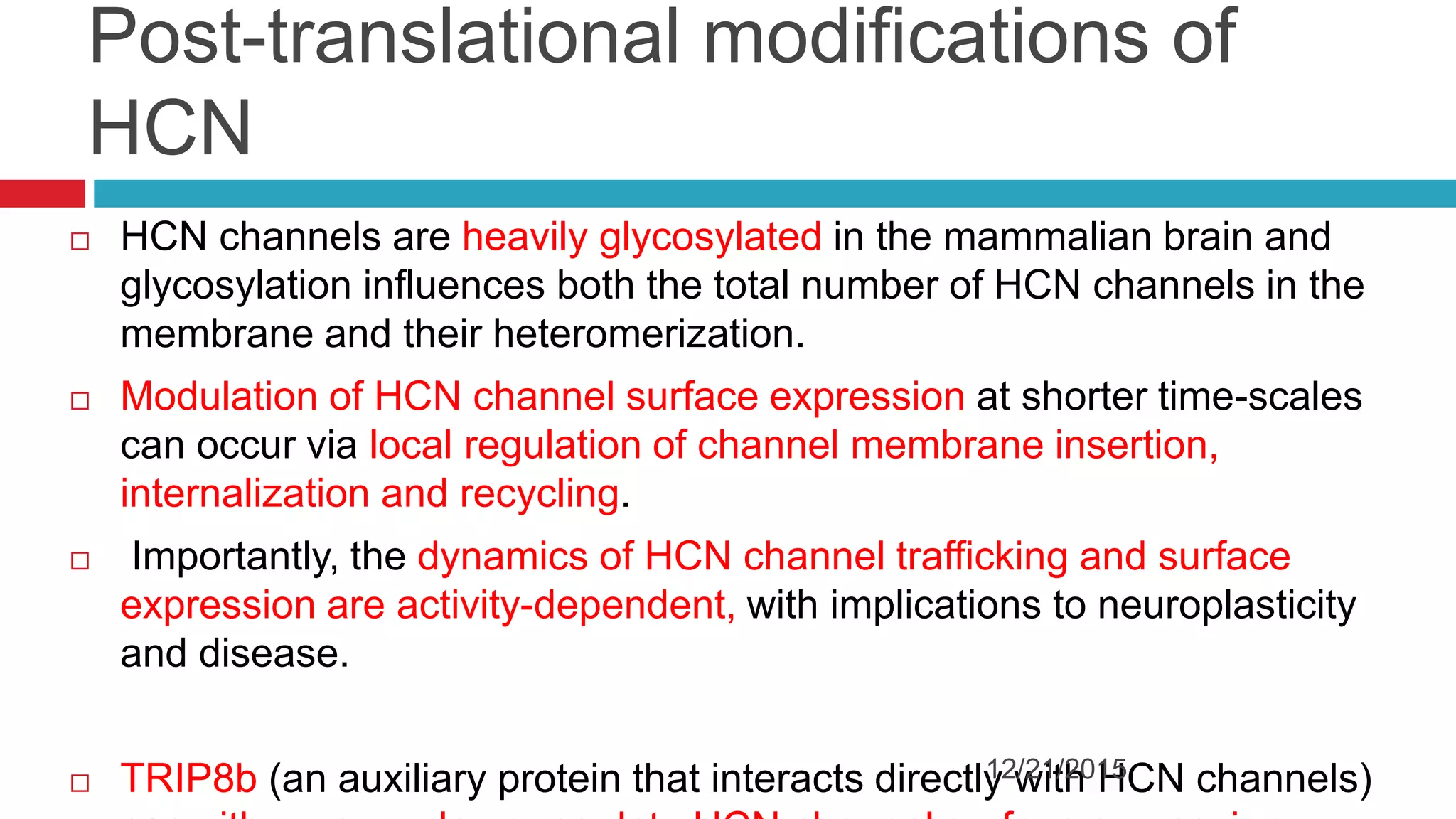 Post-translational modifications of
HCN
 HCN channels are heavily glycosylated in the mammalian brain and
glycosylation influences both the total number of HCN channels in the
membrane and their heteromerization.
 Modulation of HCN channel surface expression at shorter time-scales
can occur via local regulation of channel membrane insertion,
internalization and recycling.
 Importantly, the dynamics of HCN channel trafficking and surface
expression are activity-dependent, with implications to neuroplasticity
and disease.
 TRIP8b (an auxiliary protein that interacts directly with HCN channels)12/21/2015
 