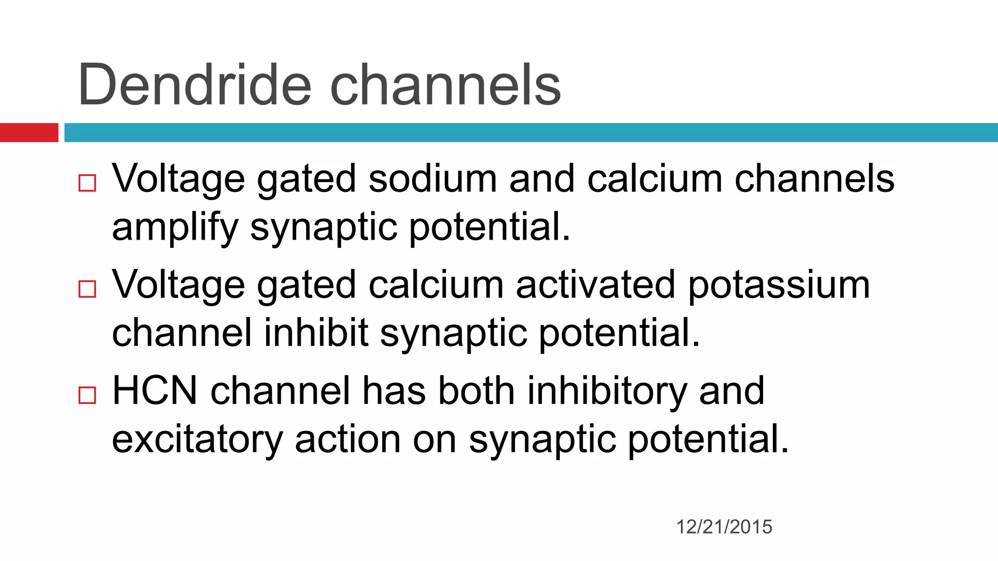 Dendride channels
 Voltage gated sodium and calcium channels
amplify synaptic potential.
 Voltage gated calcium activated potassium
channel inhibit synaptic potential.
 HCN channel has both inhibitory and
excitatory action on synaptic potential.
12/21/2015
 