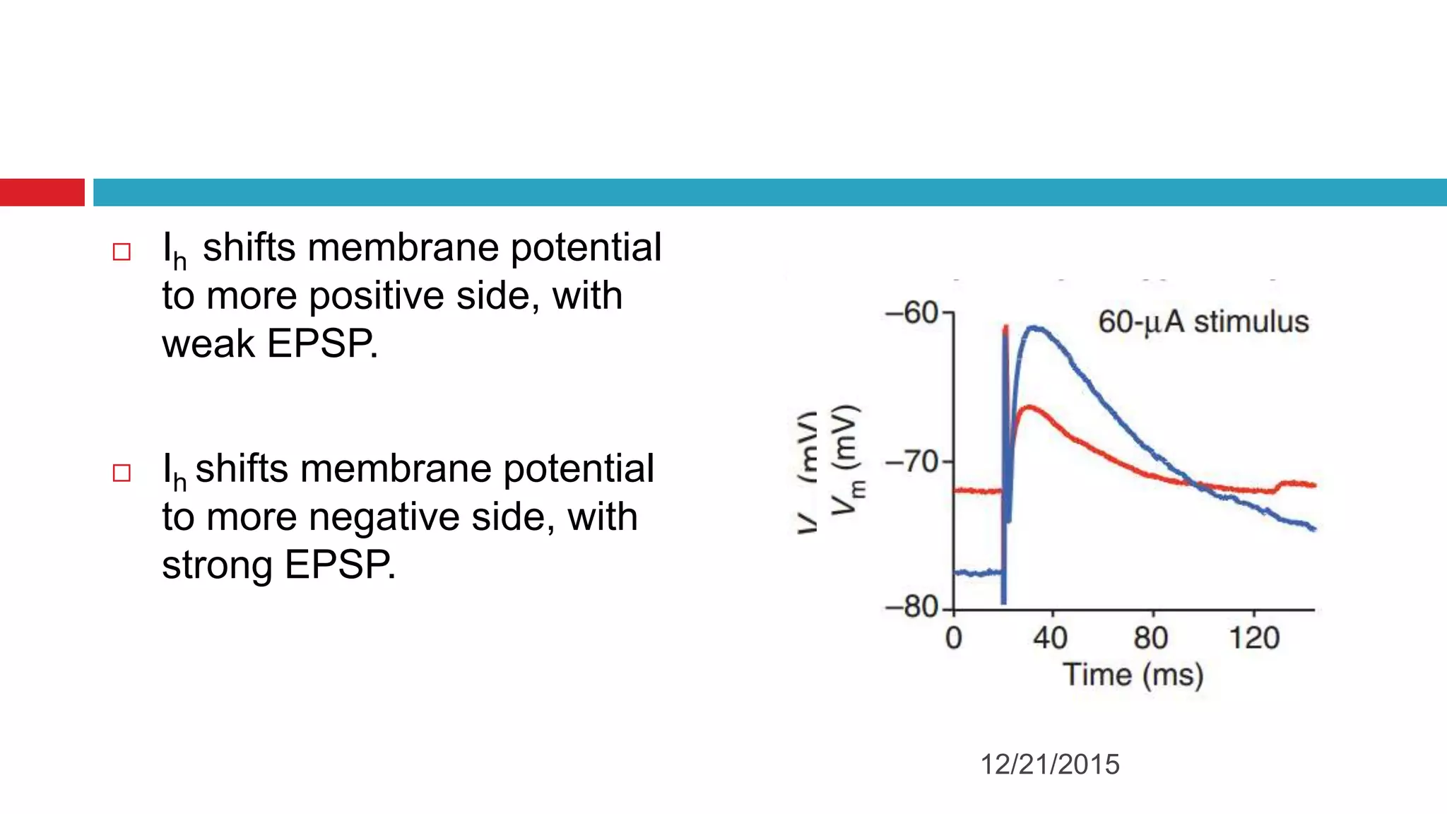  Ih shifts membrane potential
to more positive side, with
weak EPSP.
 Ih shifts membrane potential
to more negative side, with
strong EPSP.
12/21/2015
 