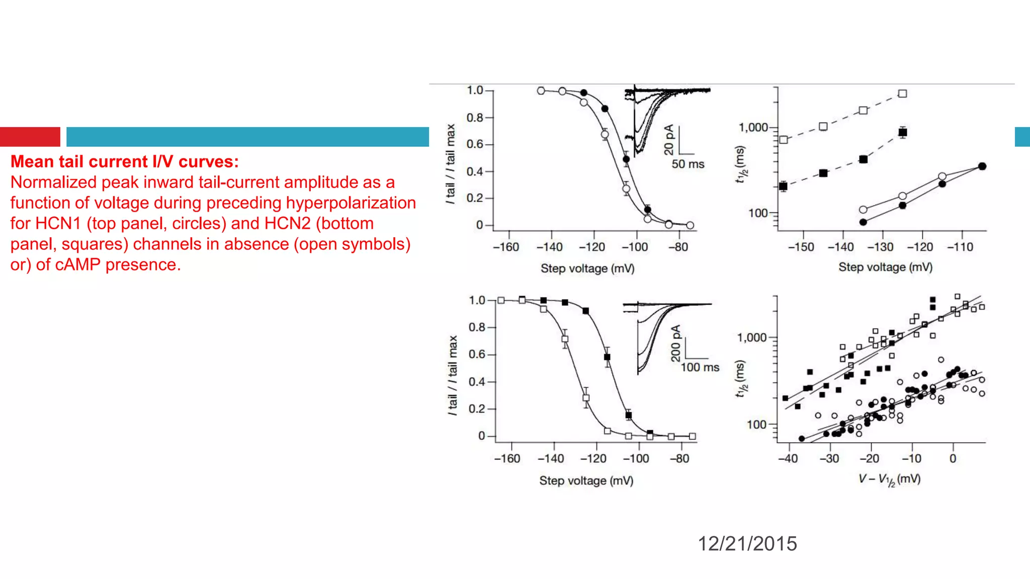 Mean tail current I/V curves:
Normalized peak inward tail-current amplitude as a
function of voltage during preceding hyperpolarization
for HCN1 (top panel, circles) and HCN2 (bottom
panel, squares) channels in absence (open symbols)
or) of cAMP presence.
12/21/2015
 
