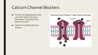 Wave Blockers Epilepsy Case Study | PPTX