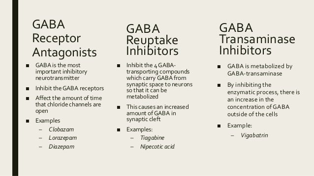 When was epilepsy first discovered picture